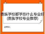贵族学校都学些什么专业好(贵族学校专业推荐)