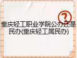 重庆轻工职业学院公办还是民办(重庆轻工属民办)