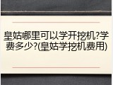 皇姑哪里可以学开挖机?学费多少?(皇姑学挖机费用)