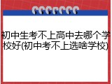 初中生考不上高中去哪个学校好(初中考不上选啥学校)