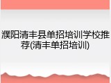 濮阳清丰县单招培训学校推荐(清丰单招培训)