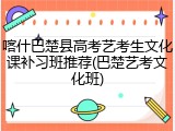 喀什巴楚县高考艺考生文化课补习班推荐(巴楚艺考文化班)