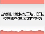 白城洮北数控加工培训班技校有哪些(白城数控技校)