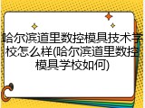 哈尔滨道里数控模具技术学校怎么样(哈尔滨道里数控模具学校如何)