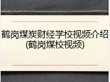 鹤岗煤炭财经学校视频介绍(鹤岗煤校视频)