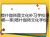 喀什伽师县文化补习学校是哪一家(喀什伽师文化学校)