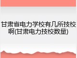 甘肃省电力学校有几所技校啊(甘肃电力技校数量)