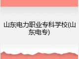 山东电力职业专科学校(山东电专)