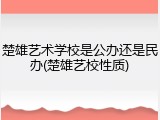 楚雄艺术学校是公办还是民办(楚雄艺校性质)