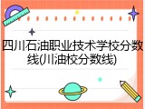 四川石油职业技术学校分数线(川油校分数线)