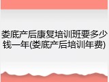 娄底产后康复培训班要多少钱一年(娄底产后培训年费)