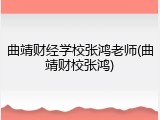 曲靖财经学校张鸿老师(曲靖财校张鸿)