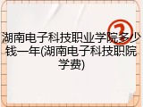 湖南电子科技职业学院多少钱一年(湖南电子科技职院学费)