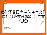 喀什泽普县高考艺考生文化课补习班推荐(泽普艺考文化班)