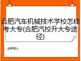 合肥汽车机械技术学校怎样考大专(合肥汽校升大专途径)