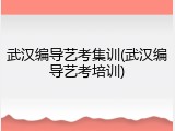 武汉编导艺考集训(武汉编导艺考培训)