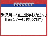 武汉第一轻工业学校是公办吗(武汉一轻校公办吗)