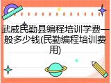 武威民勤县编程培训学费一般多少钱(民勤编程培训费用)