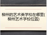 柳州的艺术类学校在哪里(柳州艺术学校位置)