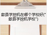 歙县学挖机在哪个学校好("歙县学挖机学校")