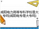 咸阳电力高等专科学校是大专吗(咸阳电专是大专吗)