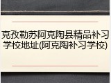 克孜勒苏阿克陶县精品补习学校地址(阿克陶补习学校)