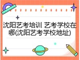 沈阳艺考培训 艺考学校在哪(沈阳艺考学校地址)