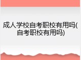 成人学校自考职校有用吗(自考职校有用吗)