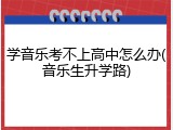 学音乐考不上高中怎么办(音乐生升学路)