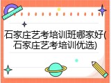 石家庄艺考培训班哪家好(石家庄艺考培训优选)