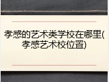 孝感的艺术类学校在哪里(孝感艺术校位置)