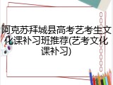 阿克苏拜城县高考艺考生文化课补习班推荐(艺考文化课补习)