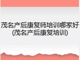 茂名产后康复师培训哪家好(茂名产后康复培训)