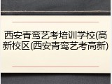 西安青鸾艺考培训学校(高新校区(西安青鸾艺考高新)