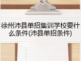 徐州沛县单招集训学校要什么条件(沛县单招条件)
