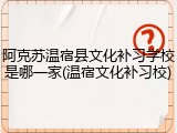 阿克苏温宿县文化补习学校是哪一家(温宿文化补习校)