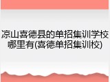 凉山喜德县的单招集训学校哪里有(喜德单招集训校)