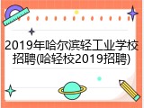 2019年哈尔滨轻工业学校招聘(哈轻校2019招聘)