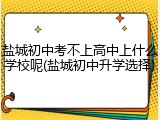 盐城初中考不上高中上什么学校呢(盐城初中升学选择)