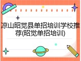 凉山昭觉县单招培训学校推荐(昭觉单招培训)