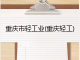 重庆市轻工业(重庆轻工)
