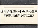 银川金凤农业中专学校哪里有(银川金凤农校位置)