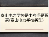 泰山电力学校是中专还是职高(泰山电力学校类型)