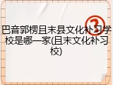 巴音郭楞且末县文化补习学校是哪一家(且末文化补习校)