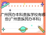 广州民办本科贵族学校有哪些(广州贵族民办本科)