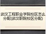 武汉工程职业学院校区怎么分配(武汉职院校区分配)