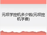 元坝学挖机多少钱(元坝挖机学费)