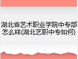 湖北省艺术职业学院中专部怎么样(湖北艺职中专如何)