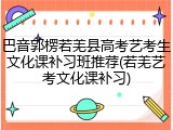 巴音郭楞若羌县高考艺考生文化课补习班推荐(若羌艺考文化课补习)