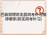 巴音郭楞若羌县高考补习推荐哪家(若羌高考补习)